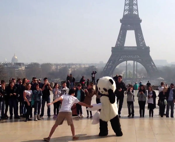 iim crazy panda - Buzzies Award 2014 - Un panda fou à paris ! Projet vainqueur de la catégorie Manager de la communication numérique