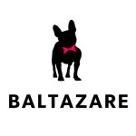 logo baltazare 150x150 - Témoignage d'un étudiant en 5ème année et déjà créateur de son entreprise, l'agence web Baltazare