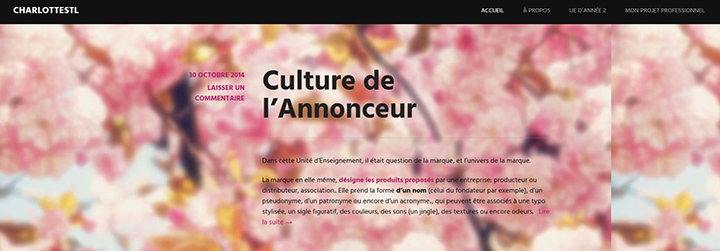 charlotte - Les deuxièmes années Communication Digitale lancent leurs webzines !