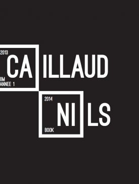 nilscaillaud1 275x364 - Nils Caillaud, Promo 2018, son portfolio créatif 2014