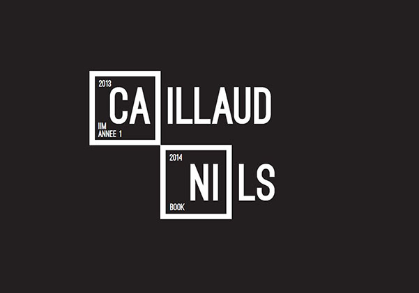 nilscaillaud11 - Nils, Promo 2018, son portfolio communication visuelle 2014