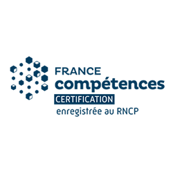 rncp france competence 1 - Jeux vidéo