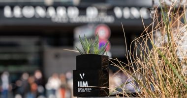 iim plante graine de vinci 380x200 - Léonard de Vinci, le slasheur originel