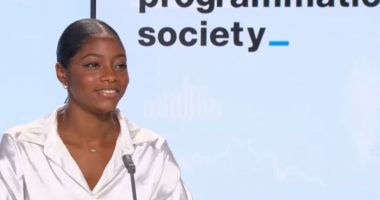 digital marketing programmatic society iim 380x200 - Secteur du jeu vidéo : une forte augmentation des effectifs féminins dans les studios