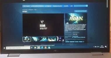 iim steam digital school 380x200 - La Fondation Cherqui privatisée pour la promo 2025 du bachelor Jeux Vidéo