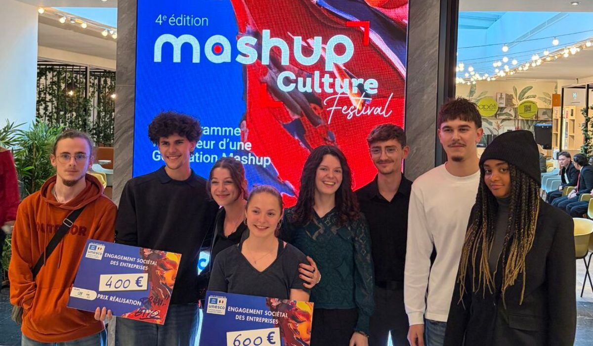 mashup-culture-festival-iim-marketing-communication-digitale-audiovisuel-bachelor-prix-récompense